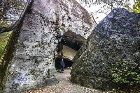 Wolf's Lair