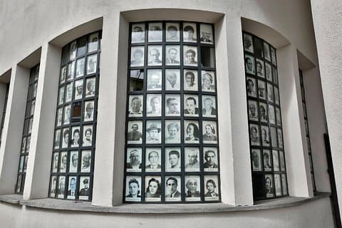 Pictures of Survivors