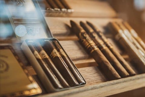 Premium Cigar Tasting Experience with Snacks in Gdańsk