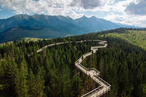 Full-Day Zakopane and Slovakia Treetop Walk From Krakow