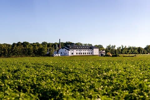 Chopin Distillery - in the middle of farm land