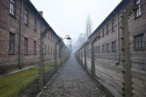 Wieliczka and Auschwitz all day minivan private tour