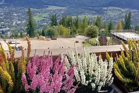 Zakopane - Tatry Mountains, cheese and souvenirs, thermal baths.