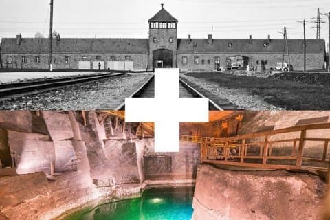 Auschwitz Birkenau and Wieliczka Salt Mine Full Day Tour
