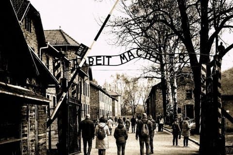 Auschwitz-Birkenau Guided tour from Krakow/Minivan Small Group