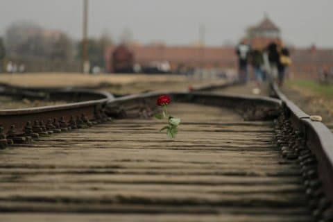 Auschwitz-Birkenau Guided Tour from Krakow with Hotel Pickup