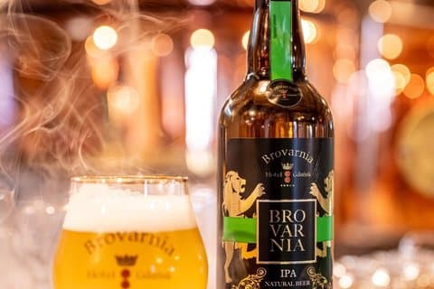 Gdańsk Scenic Cruise with Local Beer from Brovarnia Brewery