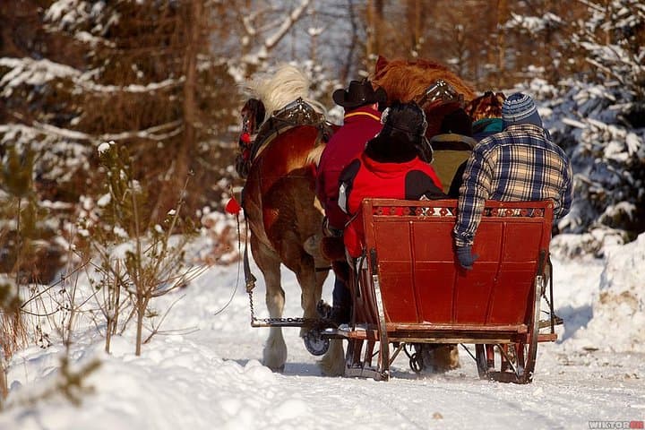 Sleigh ride in Poland