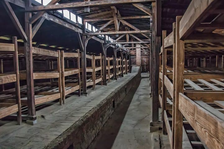 Krakow to Auschwitz Birkenau Guided Tour with Ticket and Transfer