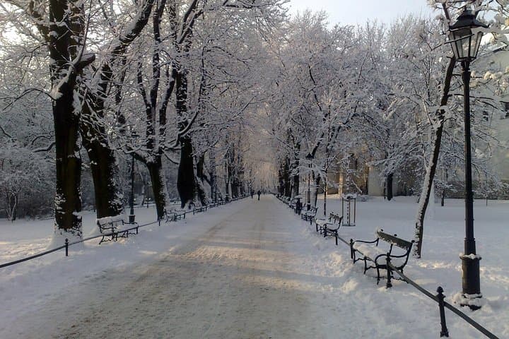Planty Park in winter