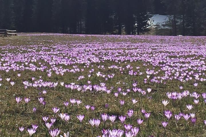 Zakopane - private tour to the town at foot of Tatra Mountains