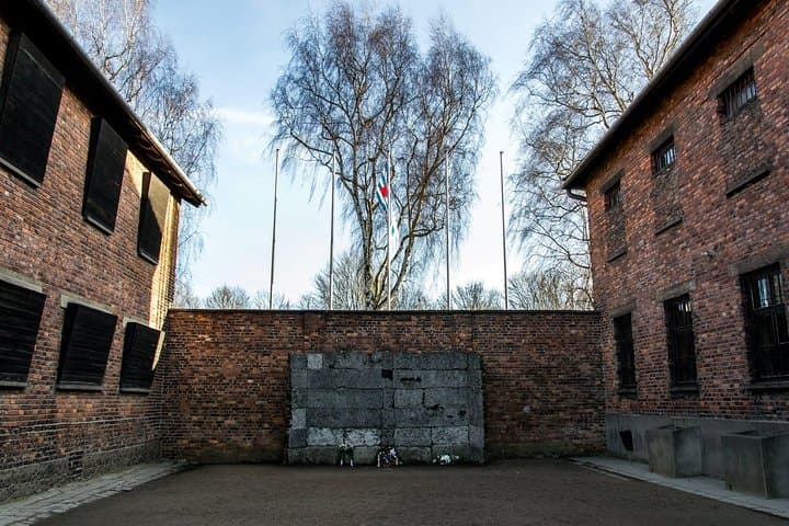 Auschwitz Birkenau Guided Tour with Ticket Hotel Pickup Small Van