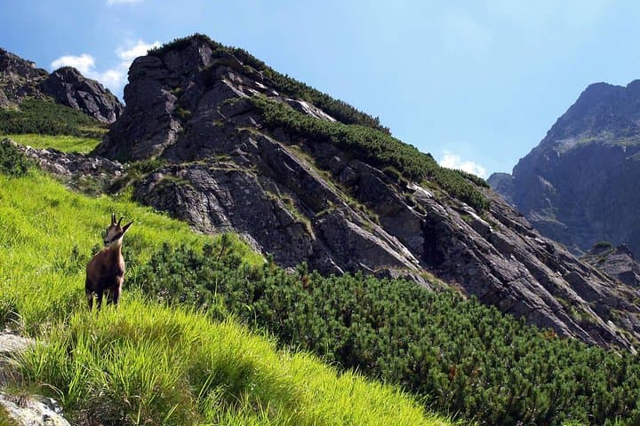 Hiking in the Tatra Mountains, private tour from Krakow