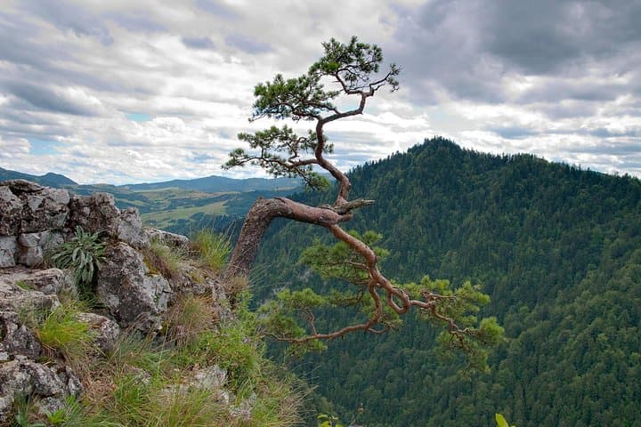 Viev from Sokolica peek at Dunajec valley