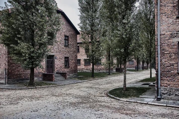 Combined tour Auschwitz Birkenau guided & Salt Mine guided from Krakow