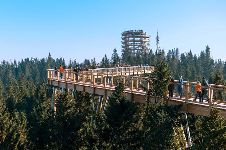From Kraków: Slovakia Treetop Walk Bachledka and Zakopane