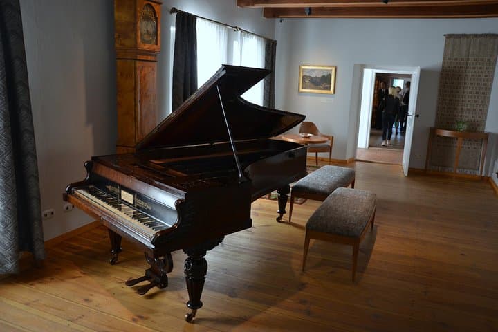 Fryderyk Chopin's Birthplace Half Day Private Tour from Warsaw