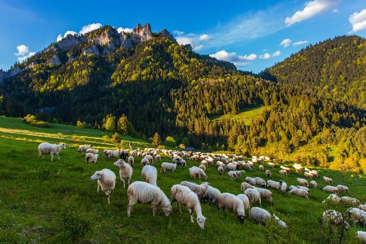 Zakopane and Tatra Mountains and Thermal Baths Private Tour