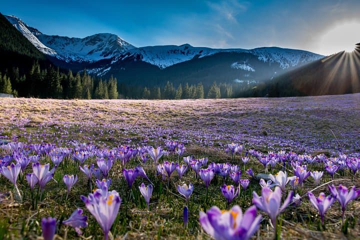 Zakopane and Tatra Mountains and Thermal Baths Private Tour