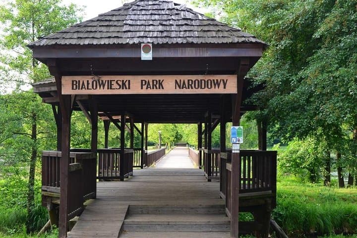 Bialowieza National Park Small Group Tour from Warsaw with Lunch included