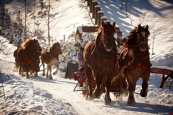 5 days in Krakow and Zakopane during winter: transfers, tours and accommodation
