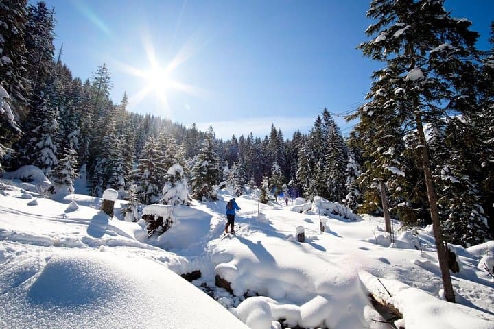 4 hours skitour trip in Tatra Mountains for beginners with renting equipment