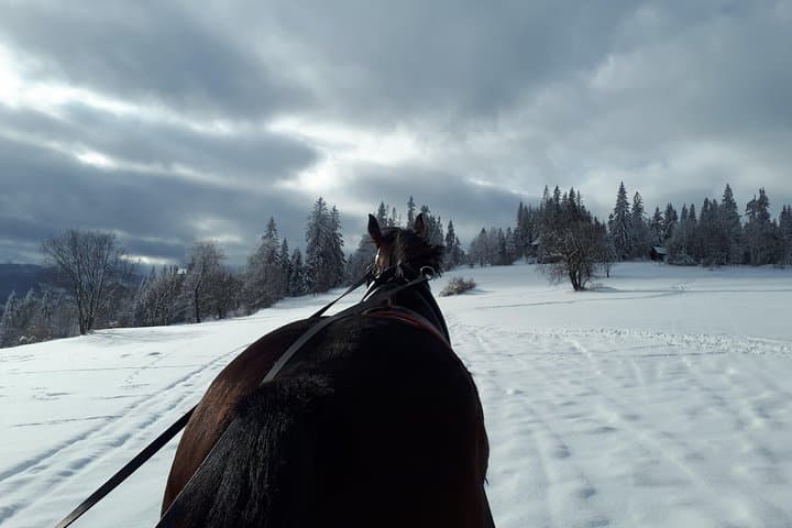 Horse sleigh ride in the countyside and Thermal Pools in one day, private tour
