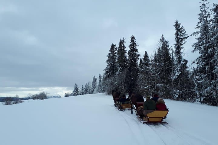 Horse sleigh ride in the countyside and Thermal Pools in one day, private tour