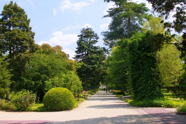 Fryderyk Chopin's Birthplace Half Day Private Tour from Warsaw