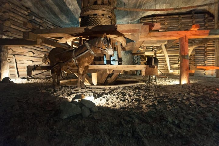 Guided Tour from Krakow to Salt Mine Wieliczka with hotel pick up