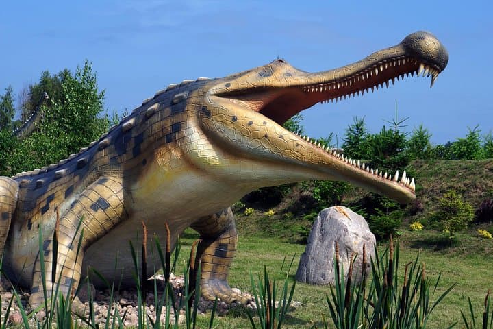 Leba Dinosaur Park - 10h private trip