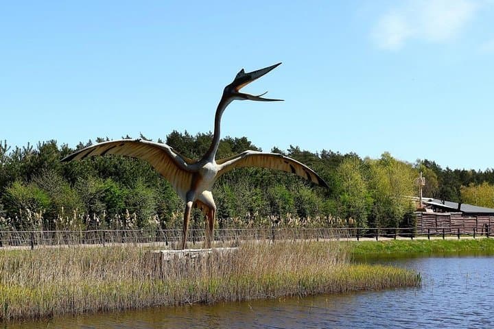 Leba Dinosaur Park - 10h private trip