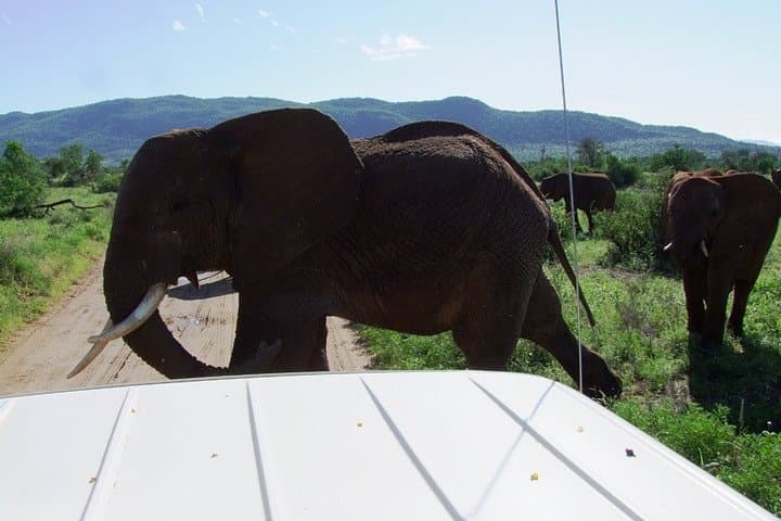 2-Day Masai Mara Safari from Diani Beach, Mombasa & Malindi.