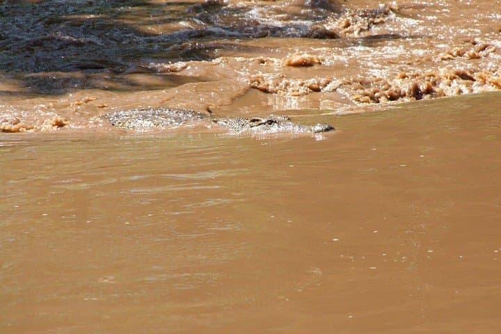 2-Day Masai Mara Safari from Diani Beach, Mombasa & Malindi.