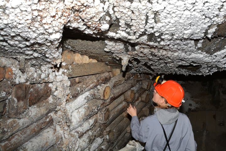 Half-Day Bochnia Salt Mine Private Guided Tour from Krakow