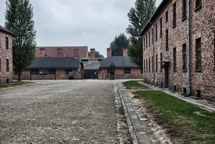Krakow: Auschwitz-Birkenau Shared English Tour and Transfer