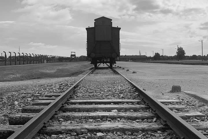 Birkenau tour