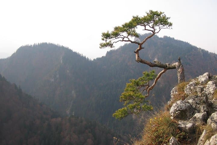 From Krakow: Dunajec Pontoon Rafting Trip