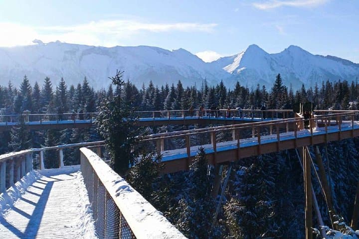 Treetop Walk in Slovakia and Thermal Baths from Krakow