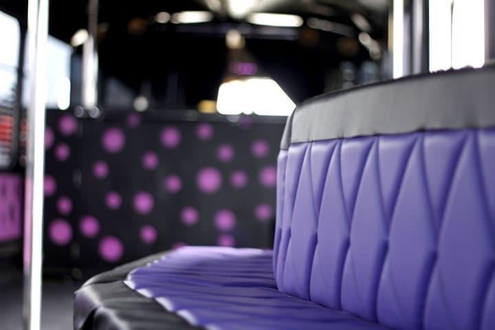 Private Party Bus & Nightclub Entry in Gdansk/Sopot