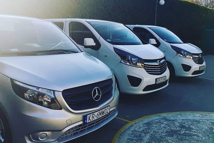 Private Door To Door Transport: Krakow - Auschwitz-Birkenau - Krakow Best Option