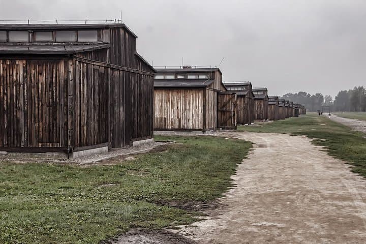 Private Auschwitz-Birkenau and Salt Mine Tour from Krakow