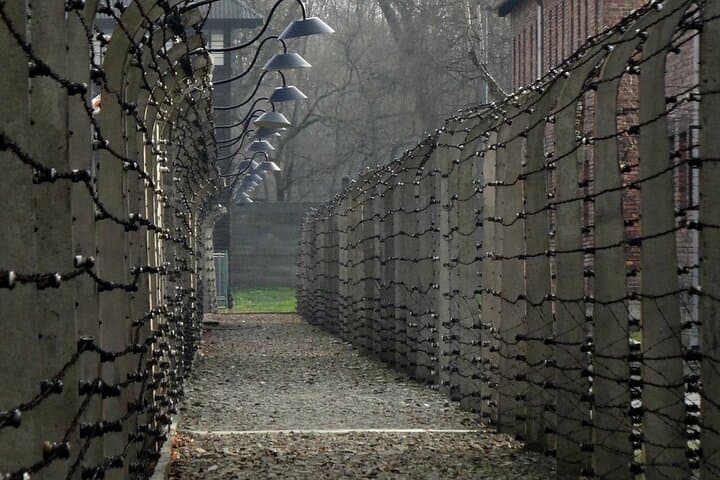 Auschwitz and Birkenau Guided Tour from Krakow