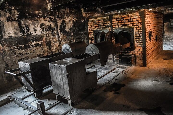 Private Auschwitz-Birkenau and Salt Mine Tour from Krakow