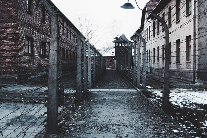 National Musuem Auschwitz from Krakow 1-8 people