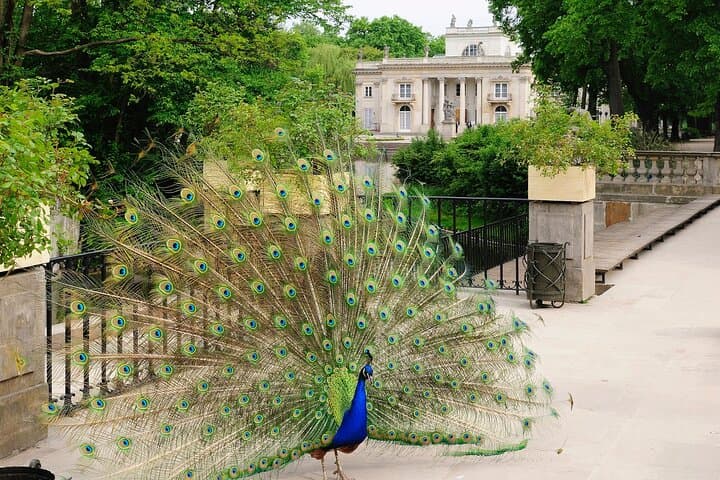 Warsaw Lazienki Royal Park