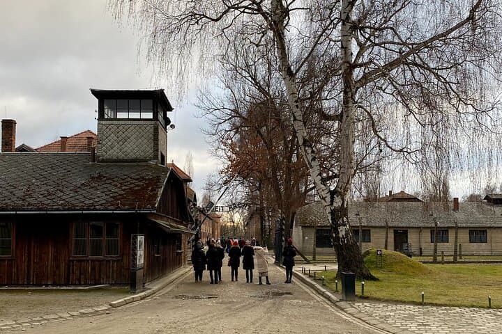 Krakow: Auschwitz-Birkenau Guided Tour & Hotel Pick Up