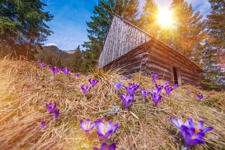 Krakow Zakopane and Chocholow Thermal Baths Tour