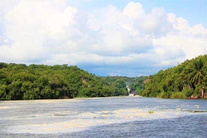 3 Days Murchison Falls National Park Safari & Rhino tracking