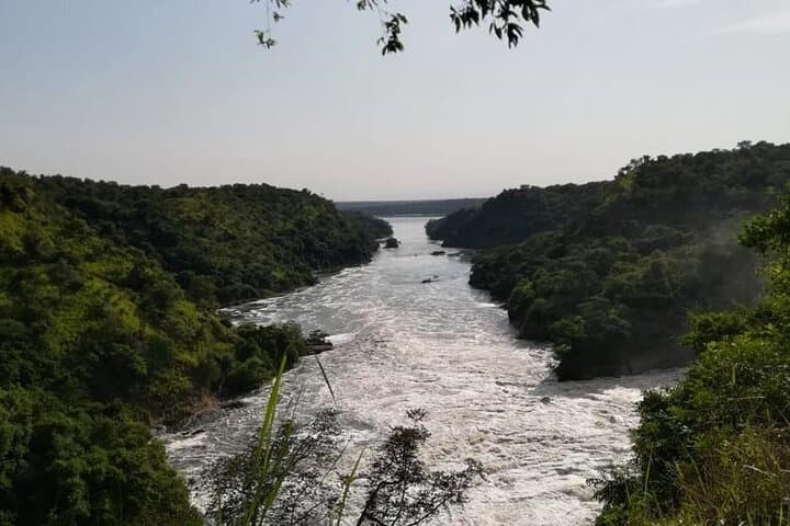 3 Days Murchison Falls National Park Safari & Rhino tracking